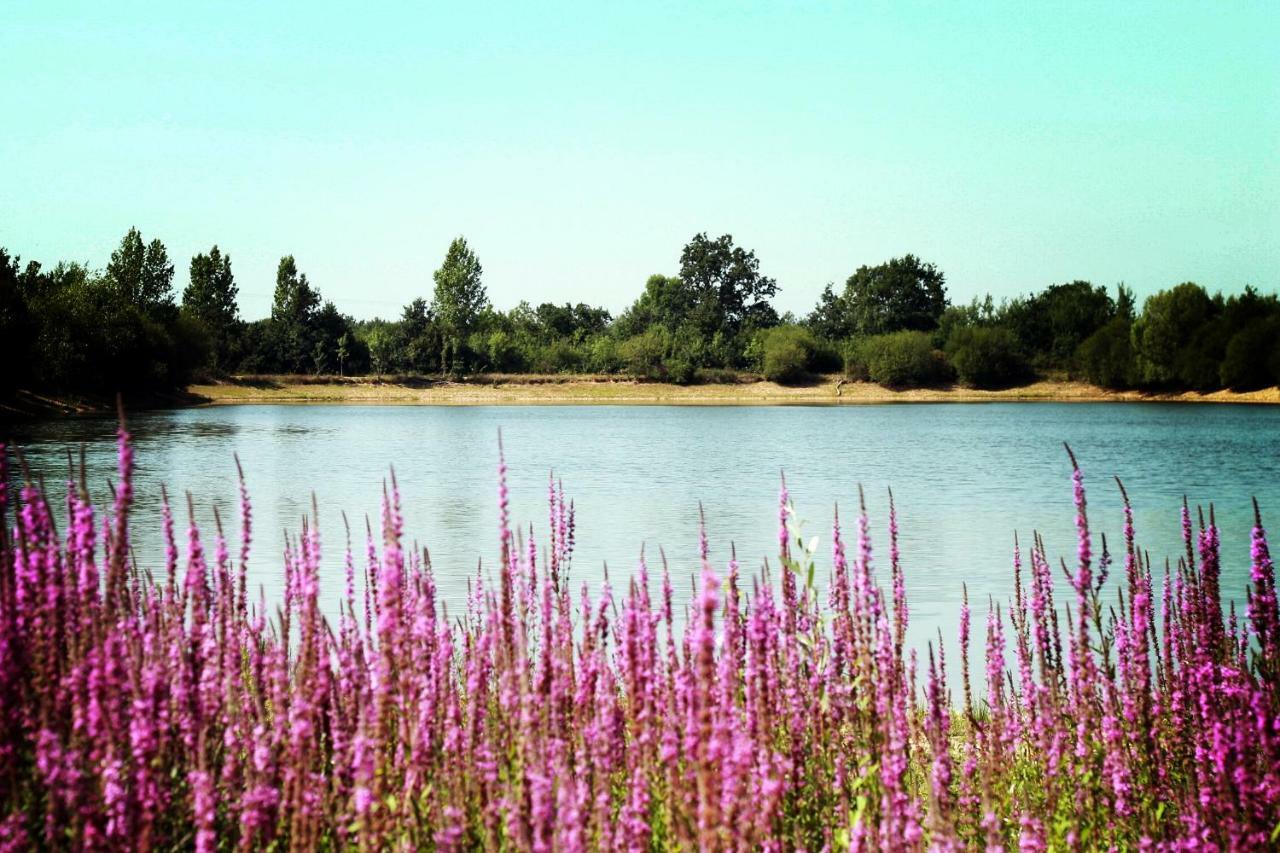 Camping Au Pre De L'Etang Sainte-Foy  Exterior foto